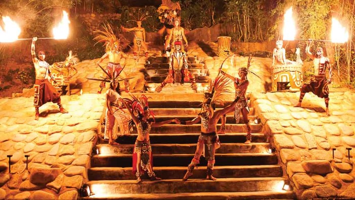 Rhythms of the Night