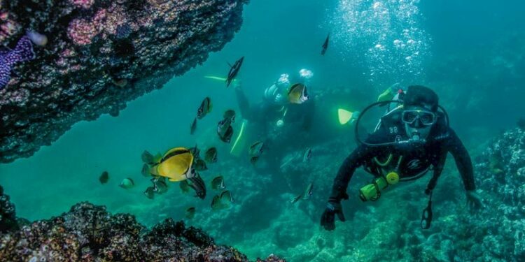Eco Snorkeling