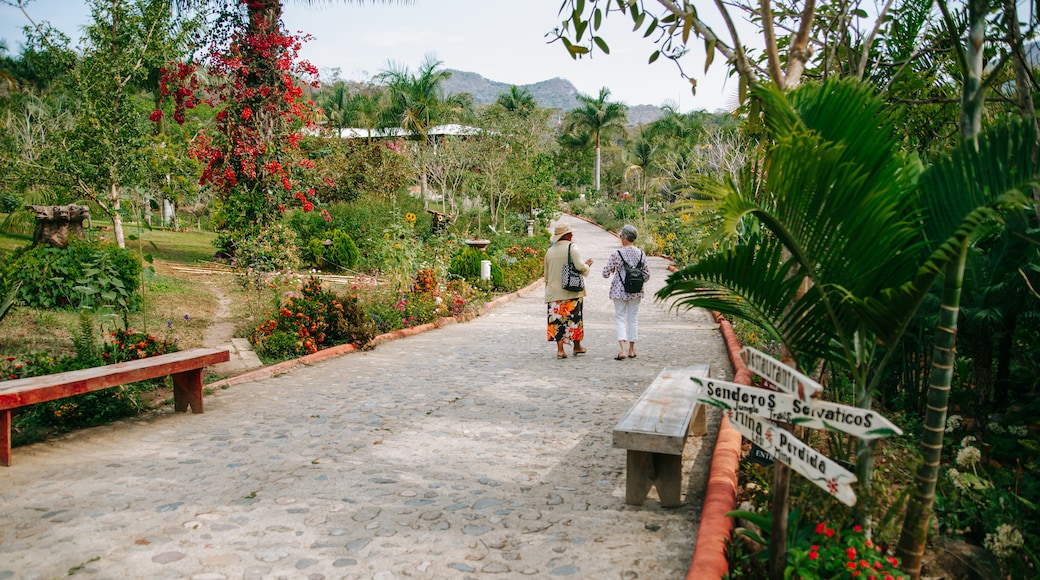 Vallarta Botanical Gardens