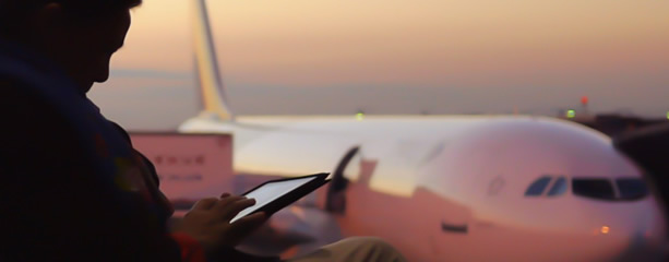 Confirm your flight information