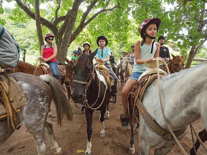MOuntain Horseback Riding